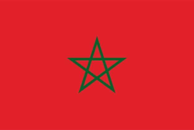 Drapeau Du Maroc Couleurs Officielles Et Proportion Illustration Vectorielle