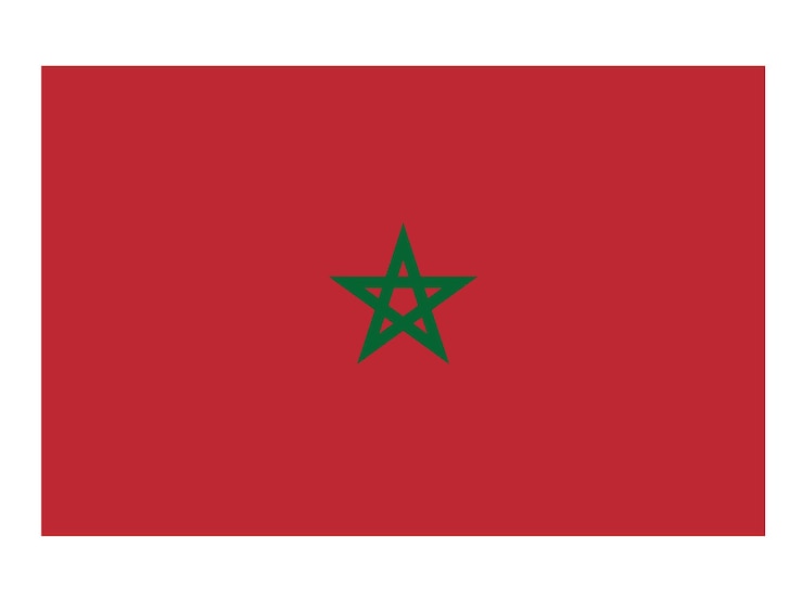 Vecteur drapeau du maroc drapeau officiel du pays icône du drapeau du monde icône du drapeau international