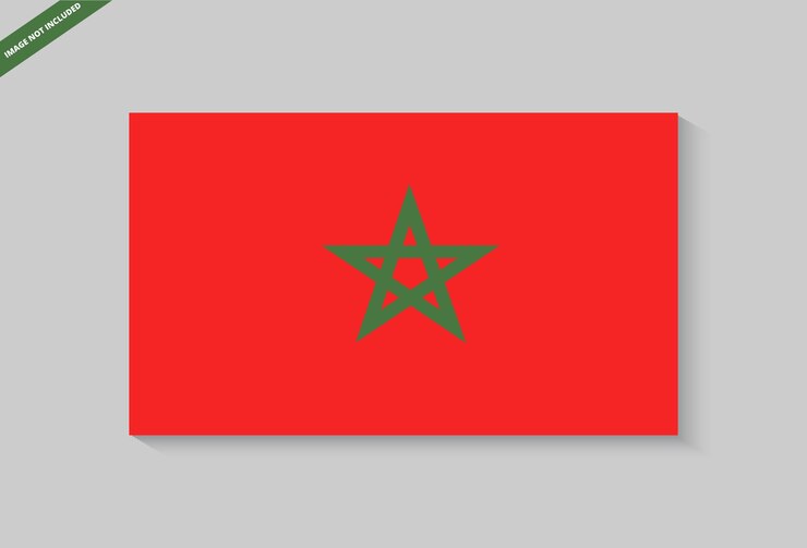 Vecteur drapeau du maroc