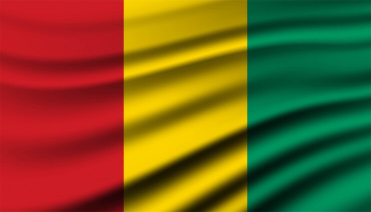 Vecteur drapeau du modèle de fond de guinée.