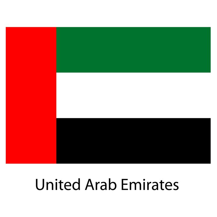 Vecteur drapeau du pays emirats arabes unis illustration vectorielle