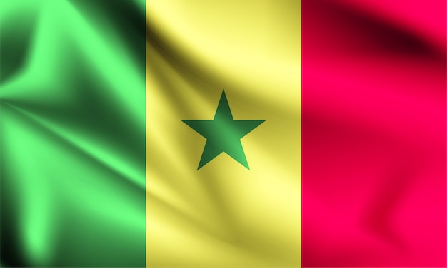 Drapeau Du Sénégal Dans Le Vent.