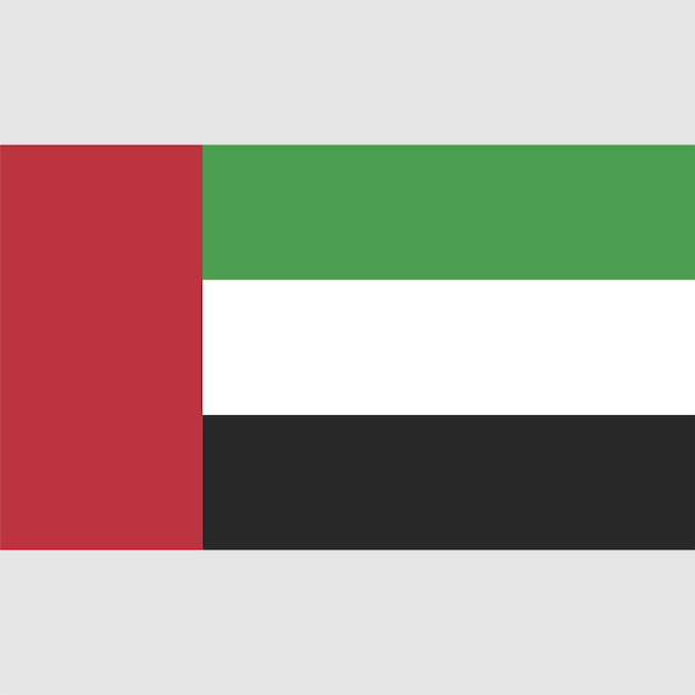 Un drapeau des Emirats Arabes Unis