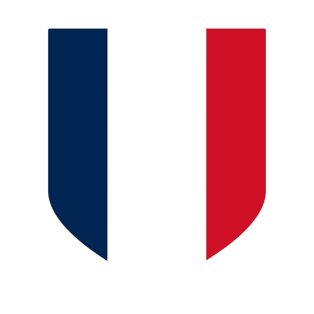 Vecteur drapeau français de la france en forme de dessin