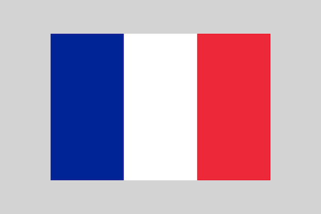 Vecteur drapeau de la france drapeau français en 23 proportions élément vectoriel simple sur fond gris