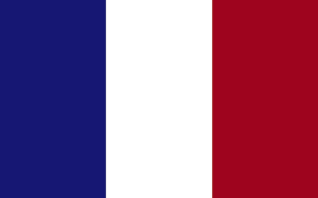 Vecteur drapeau de la france