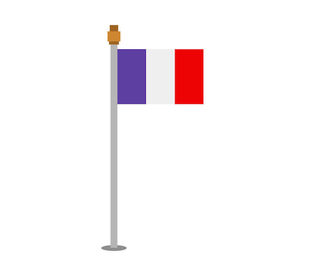 Vecteur drapeau de la france