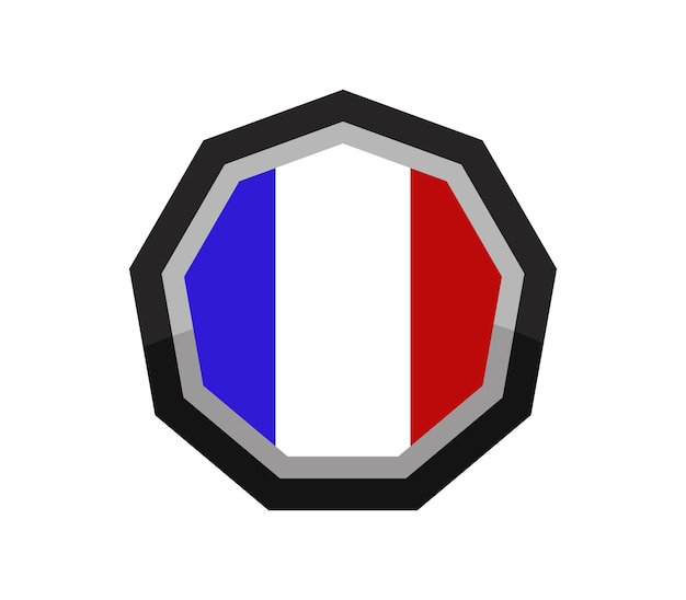 Vecteur drapeau de la france