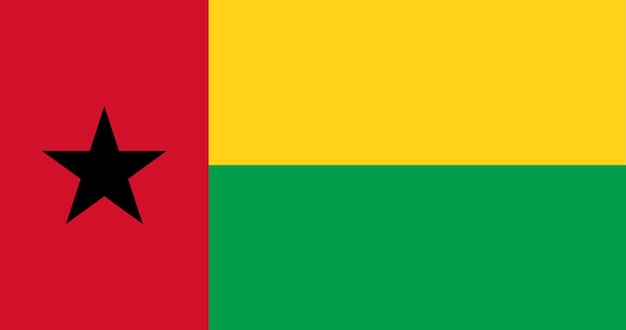 Vecteur drapeau de la guinée en vecteur