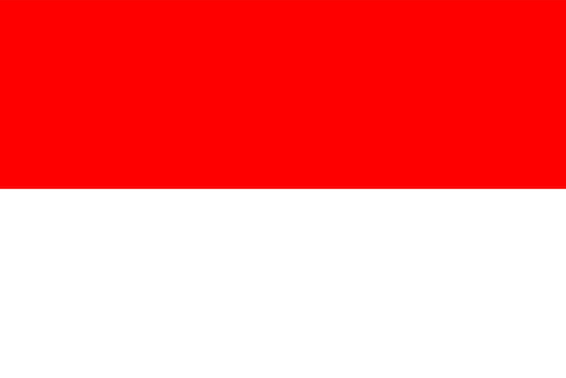 Vecteur drapeau de l'indonésie