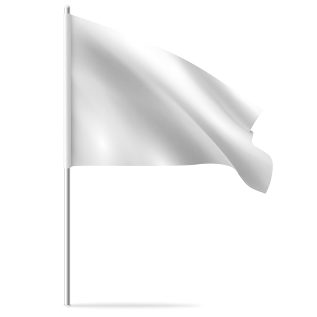 Drapeau de modèle ondulant horizontal propre blanc