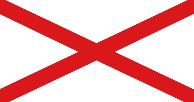 Vecteur drapeau de la municipalité de valdivia au chili image vectorielle