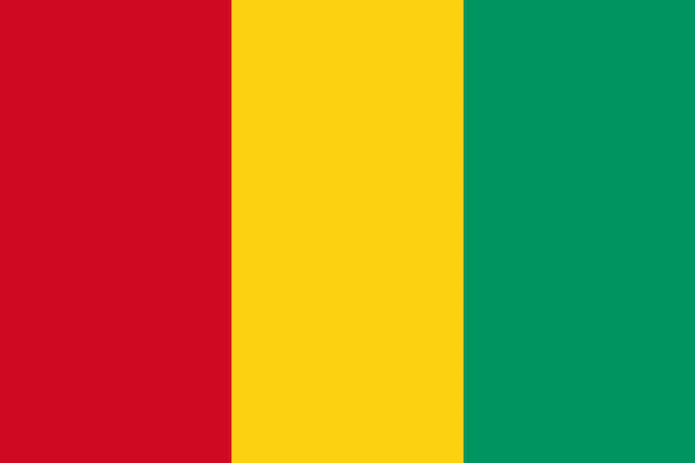 Le Drapeau National Du Monde Guinée