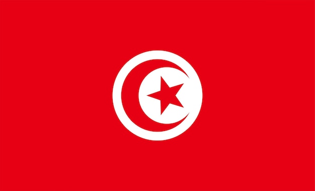 Drapeau National De La Tunisie Avec Les Couleurs Officielles