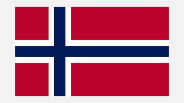 Vecteur drapeau de la norvège avec la couleur originale