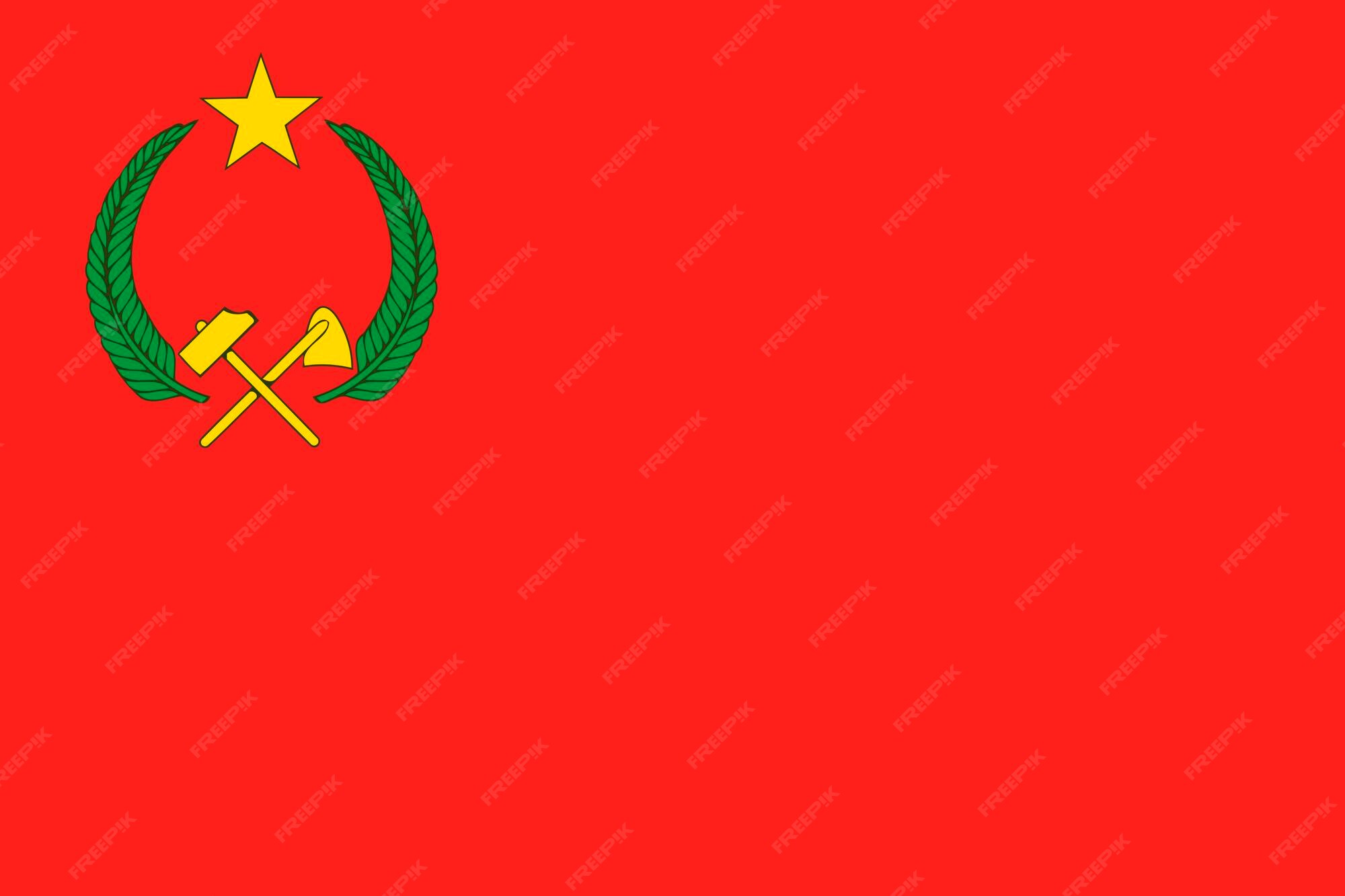 Drapeau De La République Du Congo République Du Congo Modèle Pour La