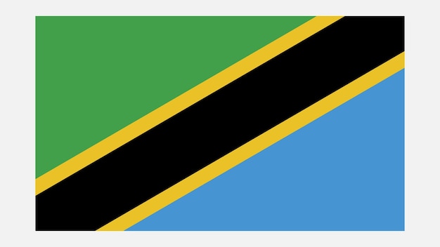Vecteur drapeau de la tanzanie avec la couleur originale