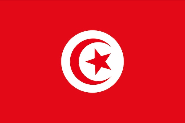 Vecteur drapeau de la tunisie drapeau du myanmar symbole officiel du pays