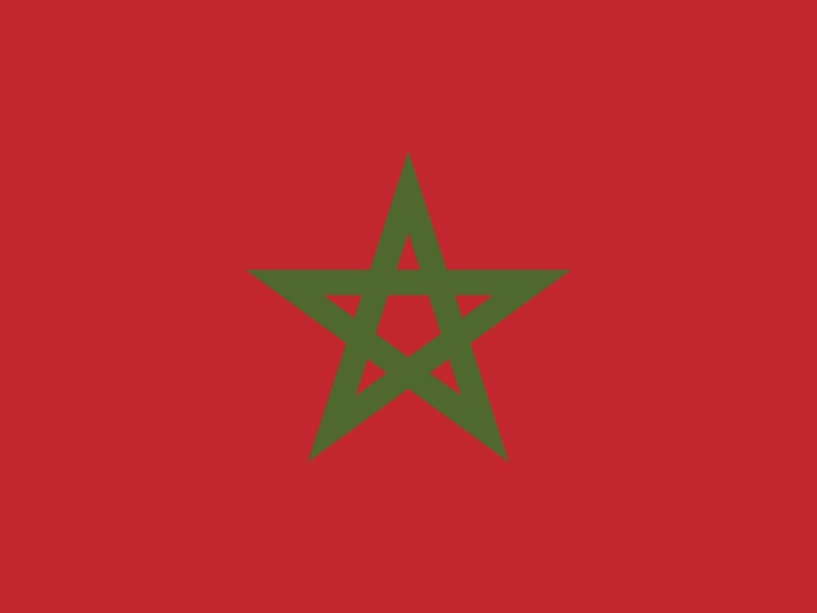 Vecteur drapeau vectoriel du maroc drapeau de l'illustration vectorielle du maroc