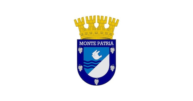 Drapeau de la ville de Monte Patria au Chili image vectorielle