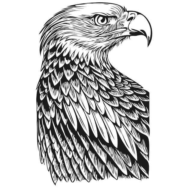 Vecteur eagle logo noir et blanc illustration main dessin oiseau