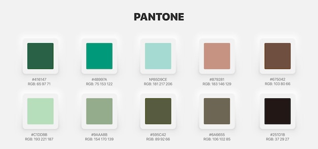 Échantillons De Catalogue De Palettes De Guides De Couleurs Pantone Dans Le Vecteur De Néomorphisme Rvb Hex