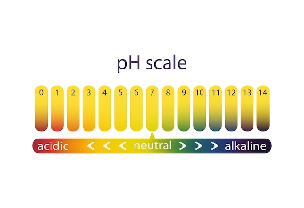 Vecteur Échelle d'acidité du papier indicateur de tournesol, dégradé de couleurs. illustration vectorielle d'un diagramme de ph