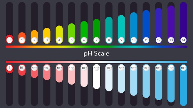 Échelle Ph 2