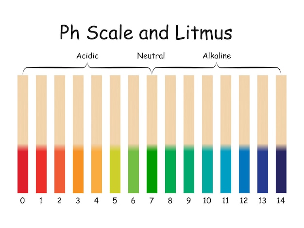 Échelle De Ph Et Illustration Vectorielle Alcaline Neutre Acide Tournesol