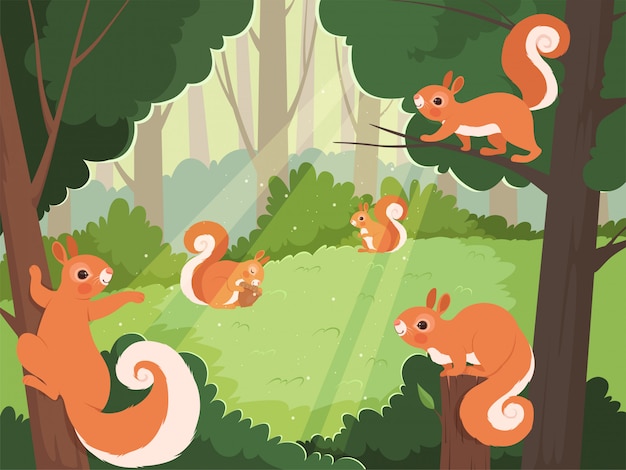 Vecteur Écureuil en forêt. animaux sauvages jouant dans les arbres fond de dessin animé