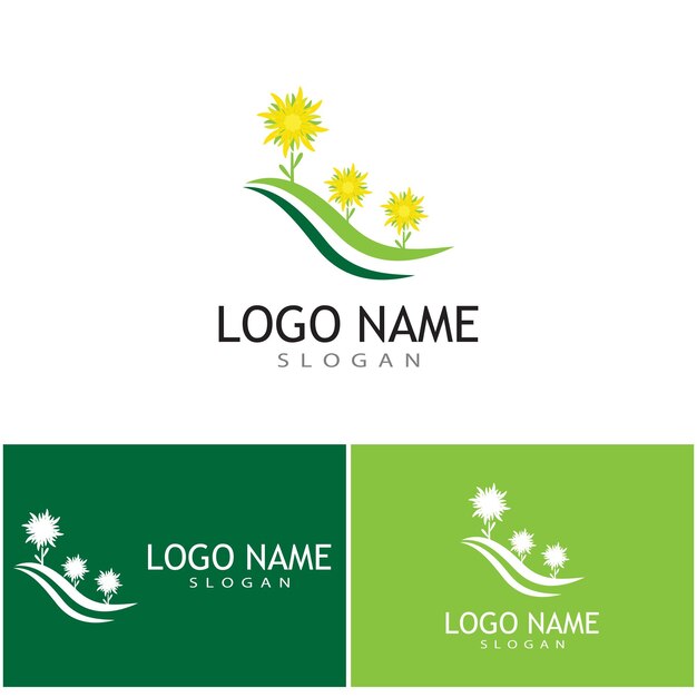 Edelweiss Logo Template Vecteur Symbole Nature