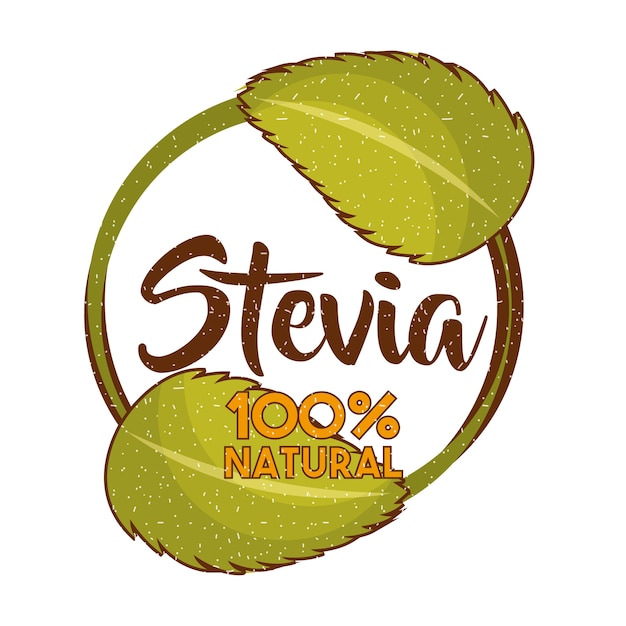 Vecteur Édulcorant naturel de stevia