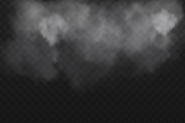 Effet spécial transparent isolé du brouillard ou de la fumée de la conception du vecteur de fond du smog