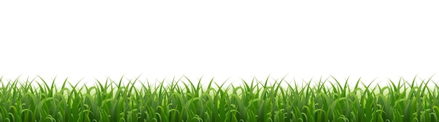 EGrassSetAndWhiteBackground_10_M_2300512