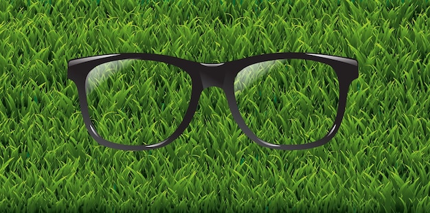 EGreenGrassFrameAndSunglasses_10_M_230403