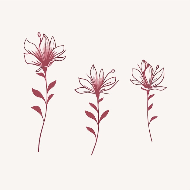 L'élégance botanique capturée dans les illustrations d'azalées vectorielles avec des détails complexes