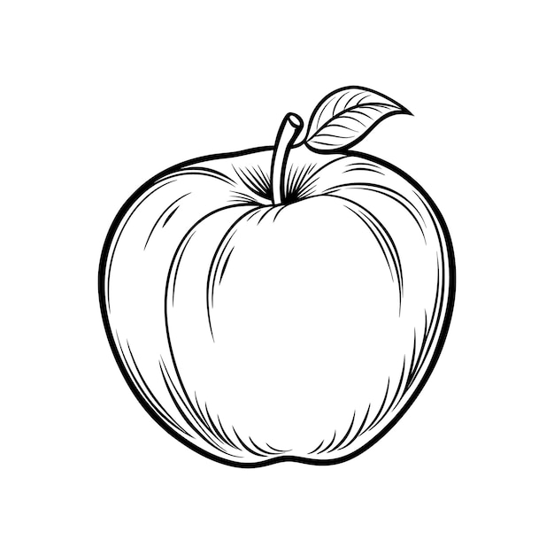 Elegant Apple Line Art Vector pour les conceptions créatives et les illustrations Style simple et minimaliste