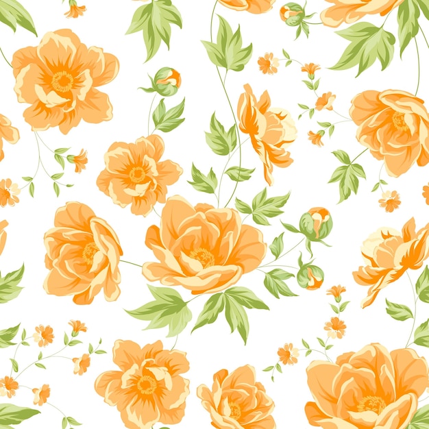 Élégant Motif De Pivoine Transparente Sur Fond Blanc. Illustration Vectorielle.