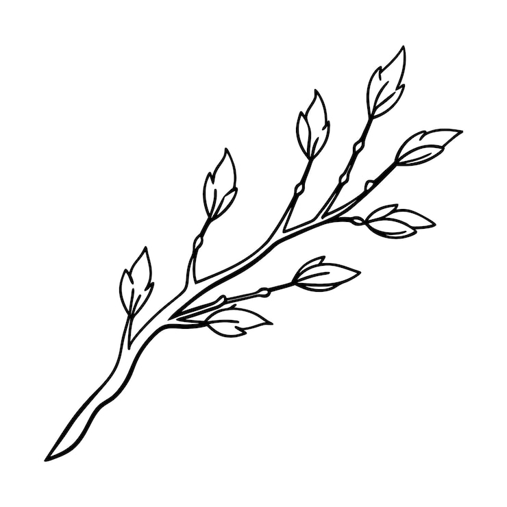 Vecteur elegant sprouting branch line art vector parfait pour les dessins à thème de printemps