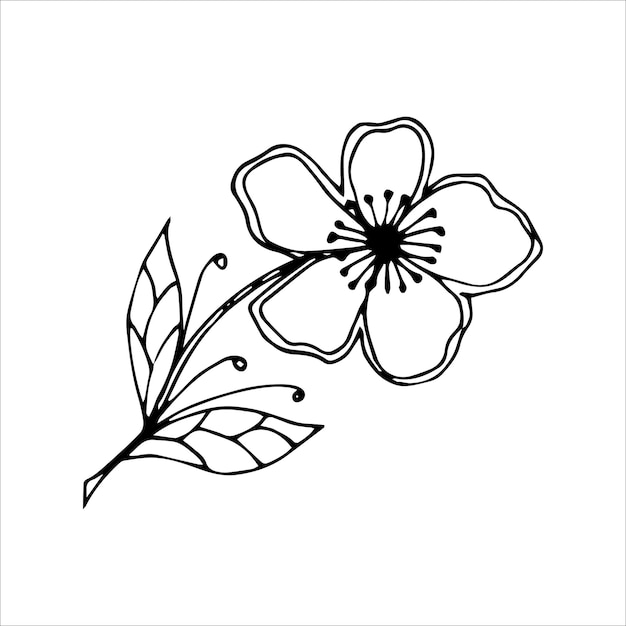 Élément De Doodle Unique Fleur Dessiné à La Main Pour Colorer L'image Vectorielle En Noir Et Blanc