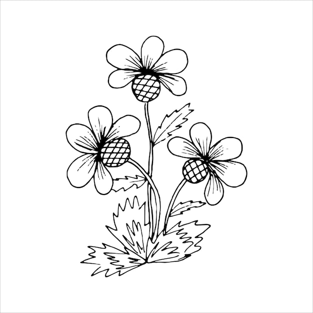 Élément De Doodle Unique Fleur Dessiné à La Main Pour Colorer L'image Vectorielle En Noir Et Blanc