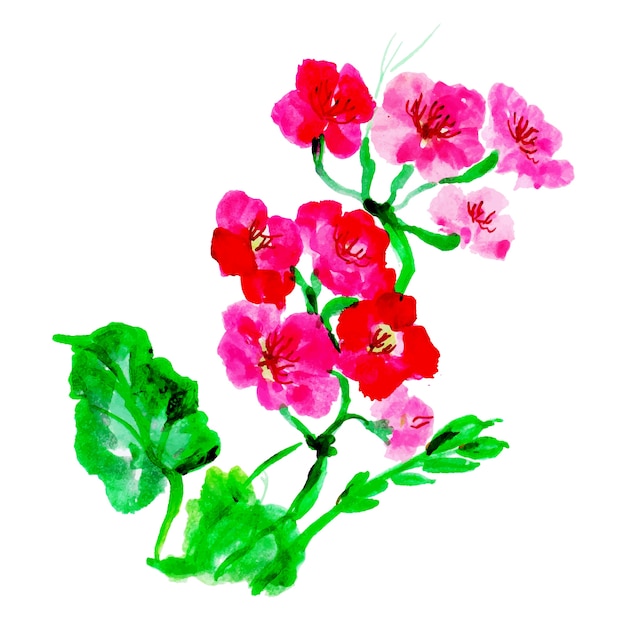 Élément Floral Aquarelle