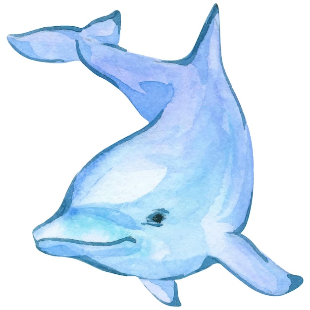 Vecteur Élément isolé d'illustration aquarelle dauphin