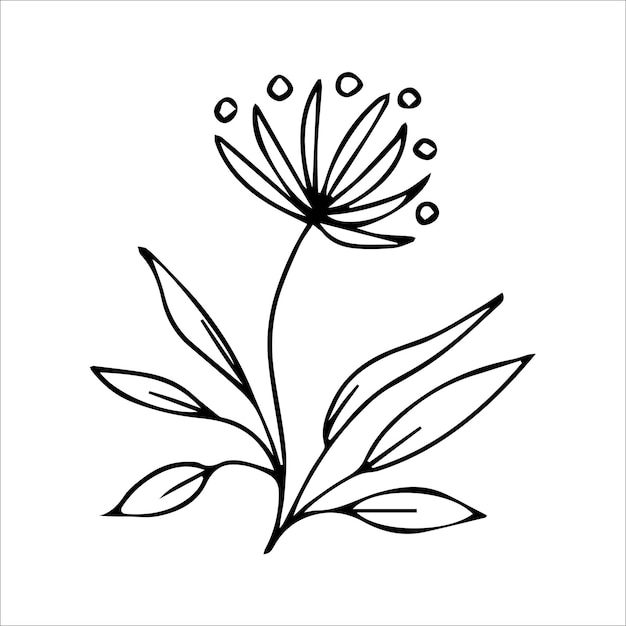 Élément Végétal De Doodle Dessiné à La Main Pour Le Concept De Design Floral