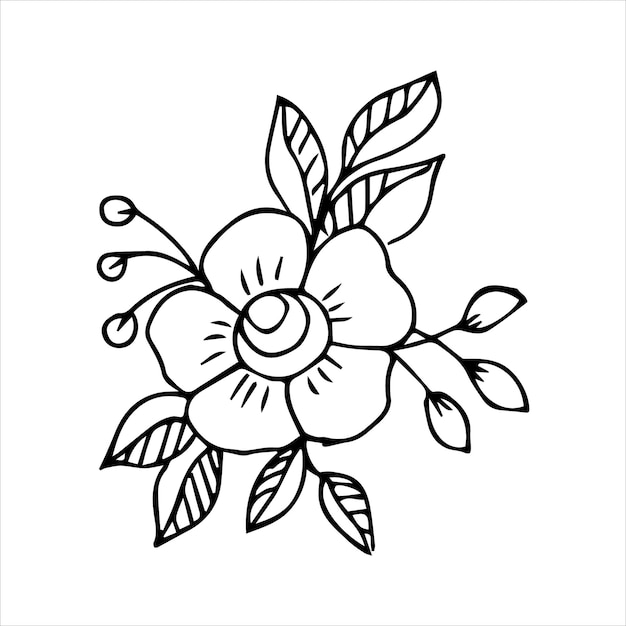 Élément Végétal Doodle Dessiné à La Main Pour Le Concept De Design Floral