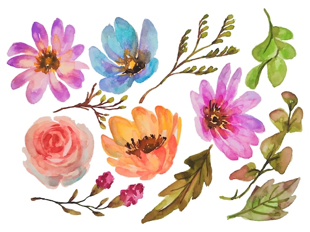 Éléments D'aquarelle De Fleurs