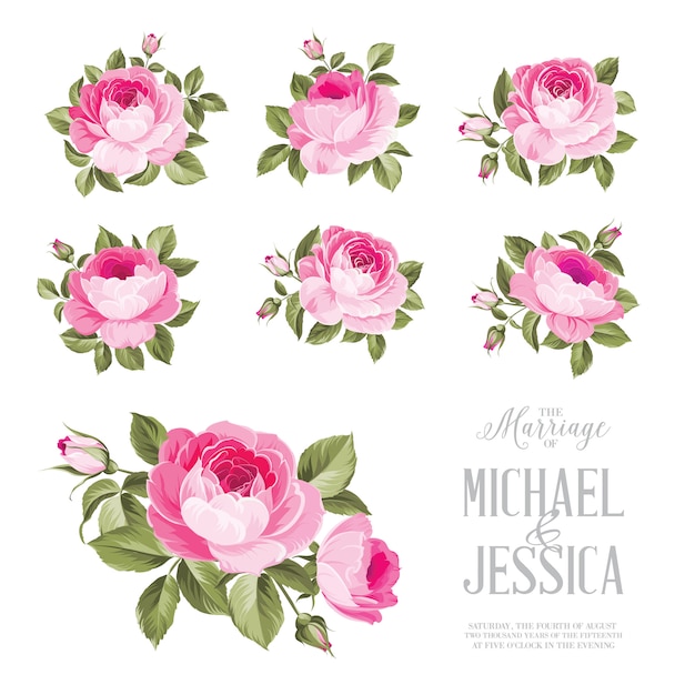Vecteur Éléments de carte de mariage élégant de roses isolés sur blanc