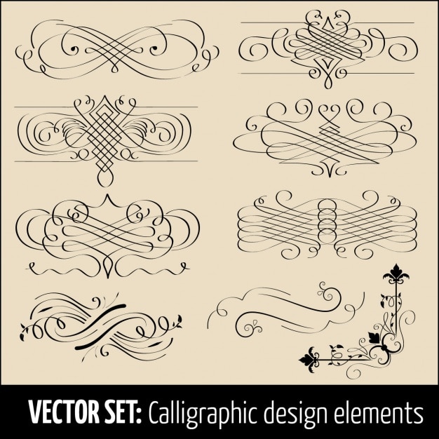 Éléments De Conception Calligraphiques