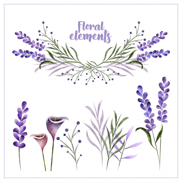 Éléments De Décoration Florale Aquarelle