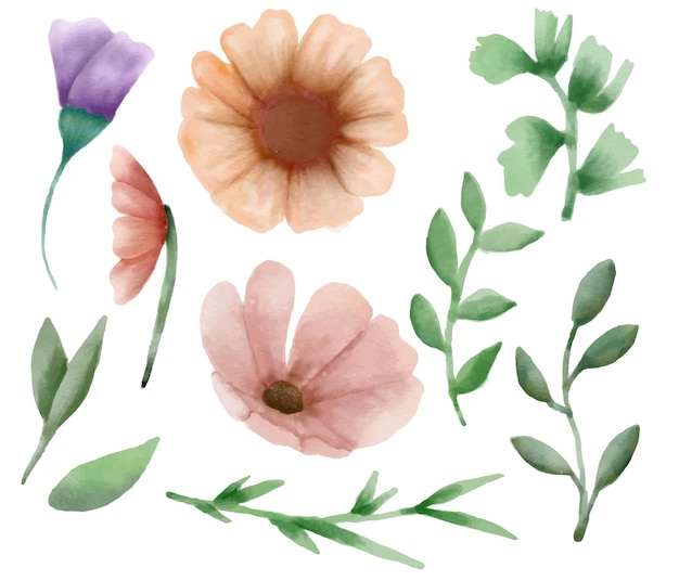 éléments de fleurs aquarelle fond isolé